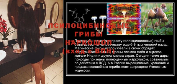 амф Беломорск