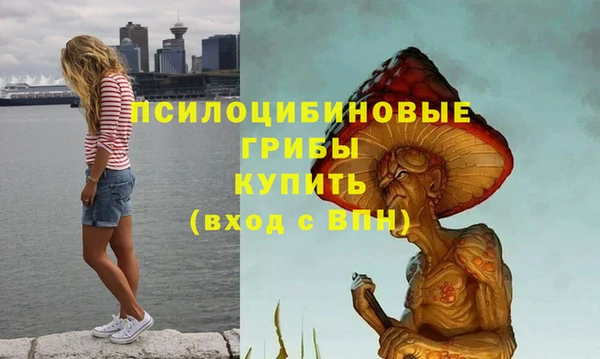 марихуана Белокуриха