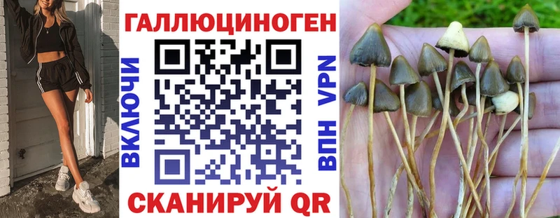 это как зайти Славгород Галлюциногенные грибы мухоморы закладки